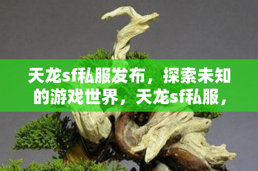 探索未知的游戏世界图片