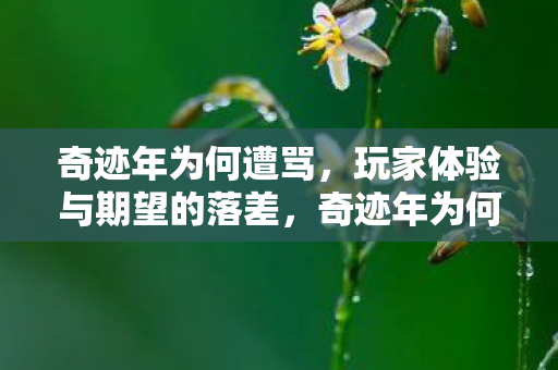 玩家体验与期望的落差图片