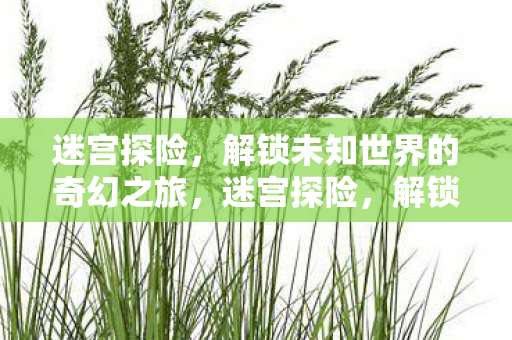 解锁未知世界的奇幻之旅图片