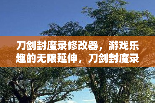 刀剑封魔录修改器，游戏乐趣的无限延伸，刀剑封魔录修改器，解锁游戏乐趣的无限可能