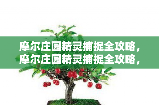 摩尔庄园精灵捕捉全攻略图片
