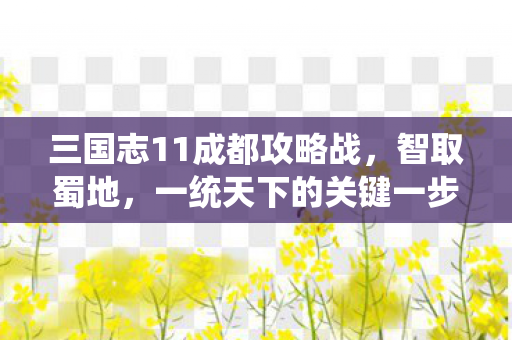 三国志11成都攻略战,智取蜀地,一统天下的关键一步,三国志11,智取蜀地,成都攻略战,一统天下的关键一步 三国志11成都攻略战,智取蜀地,一统天下的关键一步,三国志11,智取蜀地,成都攻略战,一统天下的关键一步