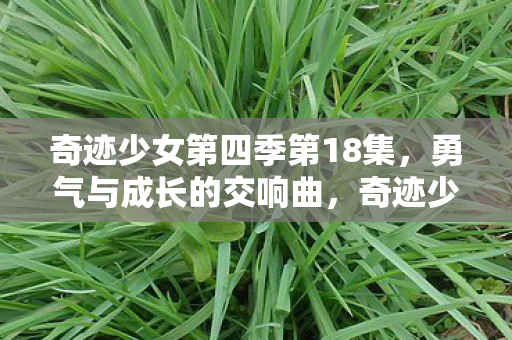 奇迹少女第四季第18集图片