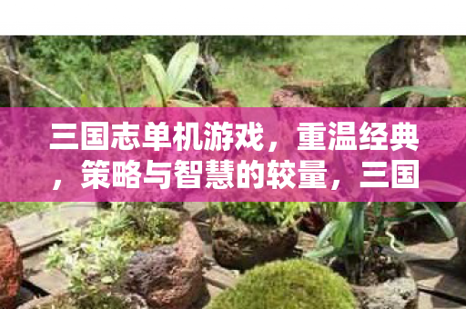 三国志单机游戏,重温经典,策略与智慧的较量,三国志单机游戏,重温经典 策略与智慧的较量 三国志单机游戏,重温经典,策略与智慧的较量,三国志单机游戏,重温经典 策略与智慧的较量