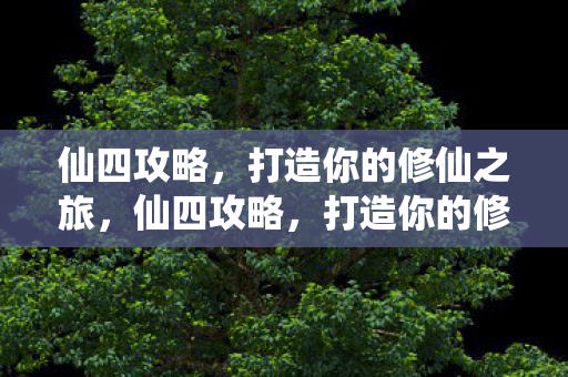 仙四攻略,打造你的修仙之旅,仙四攻略,打造你的修仙之旅 仙四攻略,打造你的修仙之旅,仙四攻略,打造你的修仙之旅