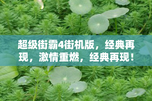 超级街霸4街机版激情重燃图片