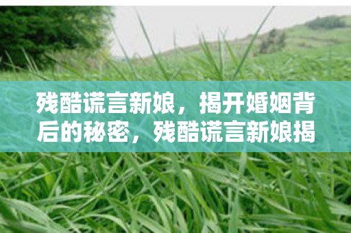 残酷谎言新娘揭露婚姻背后的秘密图片