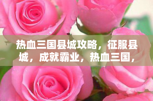 热血三国县城攻略图片