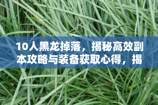 10人黑龙掉落,揭秘高效副本攻略与装备获取心得,揭秘10人黑龙副本高效攻略与装备获取心得 10人黑龙掉落,揭秘高效副本攻略与装备获取心得,揭秘10人黑龙副本高效攻略与装备获取心得