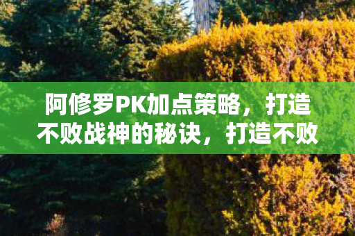 阿修罗PK加点策略全解析图片