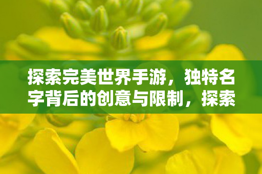 探索完美世界手游,独特名字背后的创意与限制,探索完美世界手游,独特名字背后的创意与限制 探索完美世界手游,独特名字背后的创意与限制,探索完美世界手游,独特名字背后的创意与限制