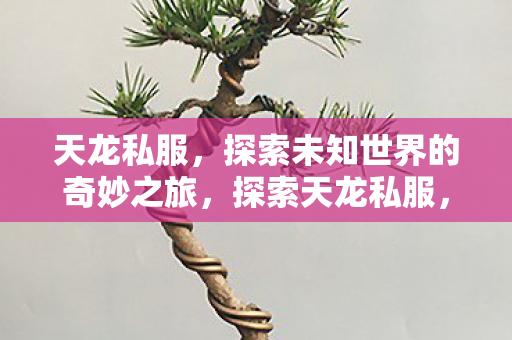 探索未知世界的奇妙之旅图片