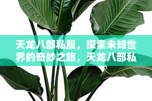 探索未知世界的奇妙冒险之旅图片