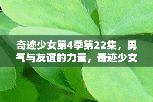 奇迹少女第4季第22集图片