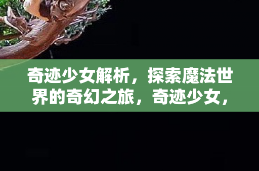 探索魔法世界的奇幻之旅图片