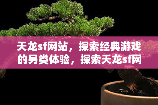 探索天龙sf网站的另类游戏体验图片