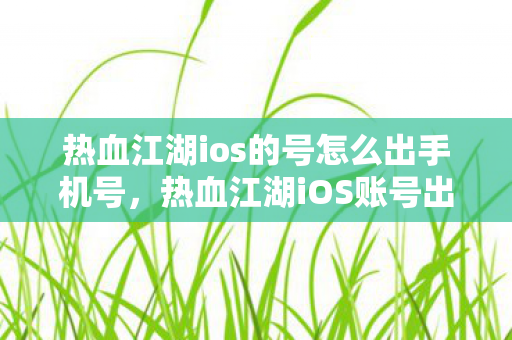 热血江湖ios的号怎么出手机号，热血江湖iOS账号出售，如何安全转移手机号？