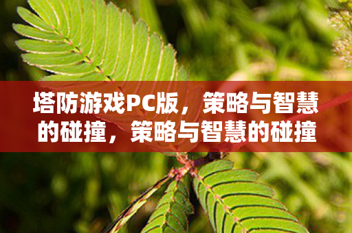 塔防游戏PC版,策略与智慧的碰撞,策略与智慧的碰撞,塔防游戏PC版 塔防游戏PC版,策略与智慧的碰撞,策略与智慧的碰撞,塔防游戏PC版