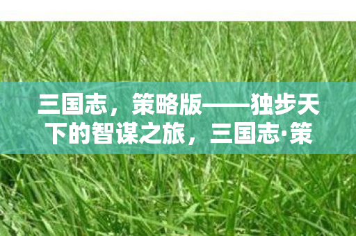 三国志,策略版——独步天下的智谋之旅,三国志·策略版,智谋之旅,独步天下 三国志,策略版——独步天下的智谋之旅,三国志·策略版,智谋之旅,独步天下