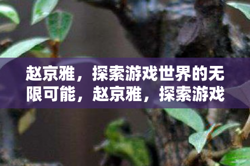 探索游戏世界的无限可能图片