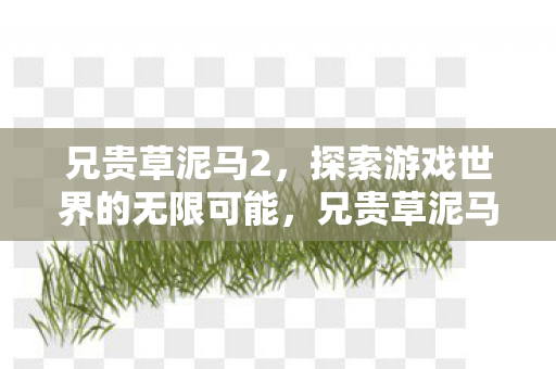 探索游戏世界的无限可能图片