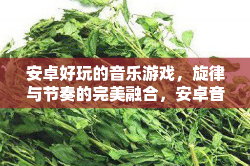 旋律与节奏的完美融合图片