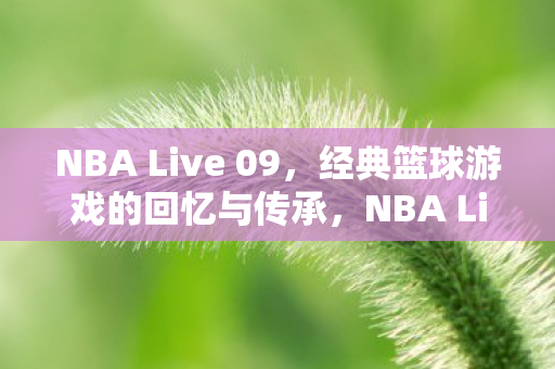 经典篮球游戏的回忆与传承图片