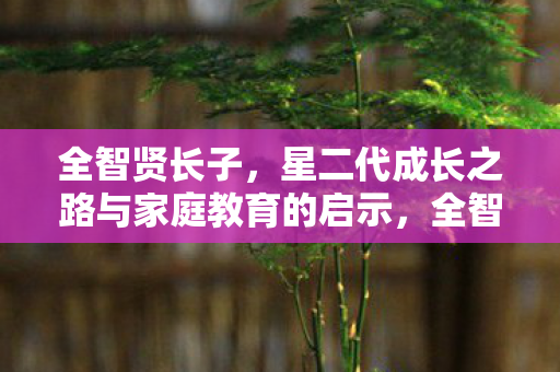 全智贤长子，星二代成长之路与家庭教育的启示，全智贤长子成长之路，星二代家庭教育启示录