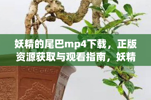 妖精的尾巴mp4下载,正版资源获取与观看指南,妖精的尾巴mp4下载,正版资源获取与观看指南 妖精的尾巴mp4下载,正版资源获取与观看指南,妖精的尾巴mp4下载,正版资源获取与观看指南