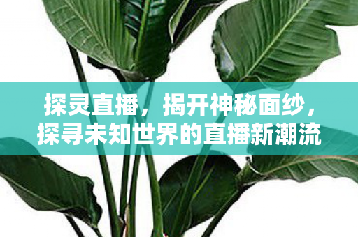 探灵直播,揭开神秘面纱,探寻未知世界的直播新潮流,探灵直播,揭开神秘面纱,探寻未知世界的直播新潮流 探灵直播,揭开神秘面纱,探寻未知世界的直播新潮流,探灵直播,揭开神秘面纱,探寻未知世界的直播新潮流