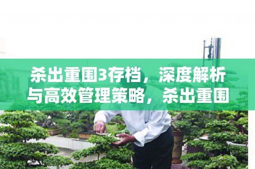 深度解析与高效管理策略图片