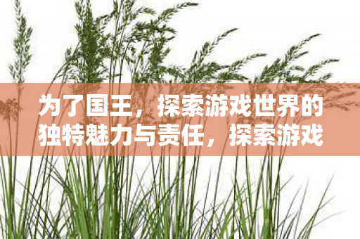 探索游戏世界的独特魅力与责任图片