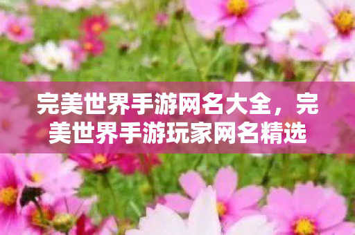 完美世界手游网名大全,完美世界手游玩家网名精选 完美世界手游网名大全,完美世界手游玩家网名精选