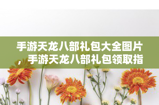 手游天龙八部礼包大全图片,手游天龙八部礼包领取指南,解锁专属福利图片 手游天龙八部礼包大全图片,手游天龙八部礼包领取指南,解锁专属福利图片