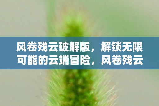 解锁无限可能的云端冒险图片