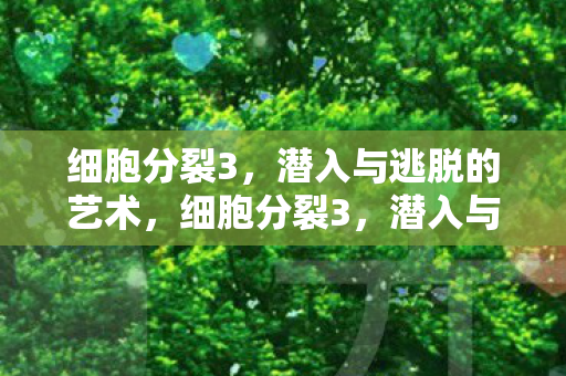 潜入与逃脱的艺术图片