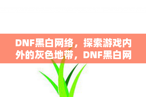 DNF黑白网络,探索游戏内外的灰色地带,DNF黑白网络,探索游戏内外的灰色地带 DNF黑白网络,探索游戏内外的灰色地带,DNF黑白网络,探索游戏内外的灰色地带