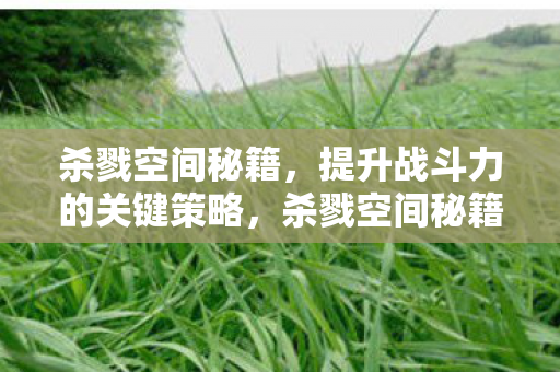 解锁提升战斗力的关键策略图片