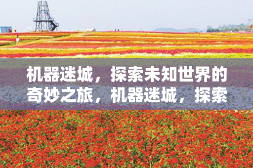 探索未知世界的奇妙之旅图片