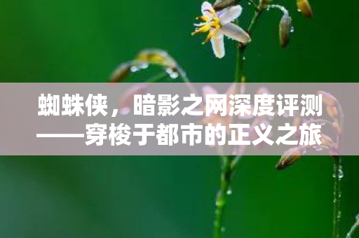 穿梭于都市的正义之旅图片