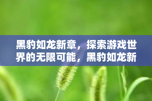 探索游戏世界的无限可能图片
