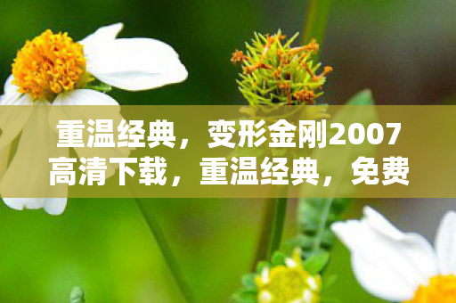 免费下载变形金刚2007高清版图片
