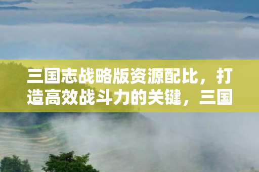 三国志战略版资源配比,打造高效战斗力的关键,三国志战略版资源配比,打造高效战斗力的关键 三国志战略版资源配比,打造高效战斗力的关键,三国志战略版资源配比,打造高效战斗力的关键