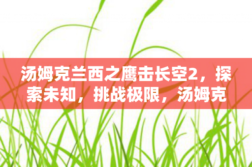 汤姆克兰西之鹰击长空2图片