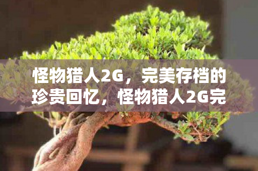 怪物猎人2G完美存档图片