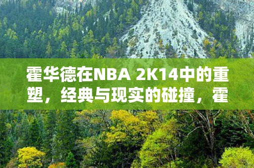 霍华德在NBA 2K14中的重塑图片