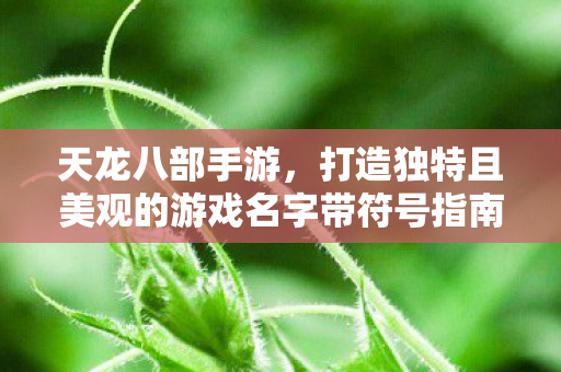 打造独特且美观的游戏名字带符号指南图片