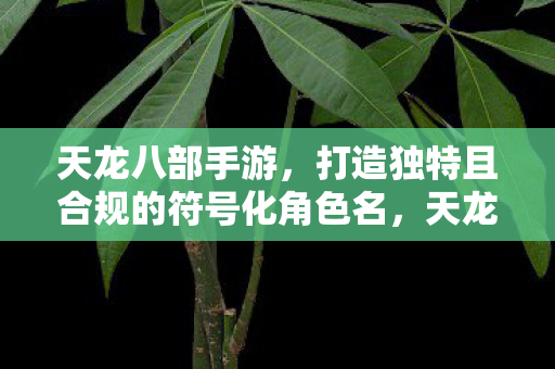 天龙八部手游打造独特合规符号化角色名图片