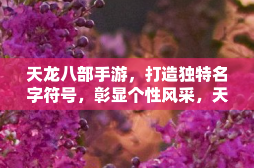 天龙八部手游打造独特名字符号图片