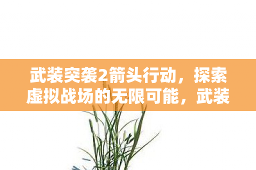 探索虚拟战场的无限可能图片